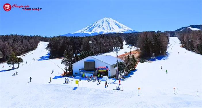 Tour Nhật Bản Cung Đường Tokyo - Núi Phú Sĩ Đón Năm Mới 2027